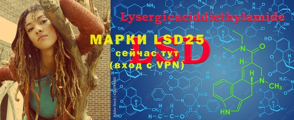 индика Новокубанск